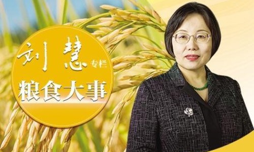 新疆西瓜的吃法-新疆西瓜的功效网-分享新疆西瓜多少钱一斤，新疆西瓜行情实时报价知识库