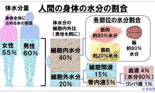 新疆西瓜一斤价格表-新疆西瓜的功效网-分享新疆西瓜多少钱一斤，新疆西瓜行情实时报价知识库